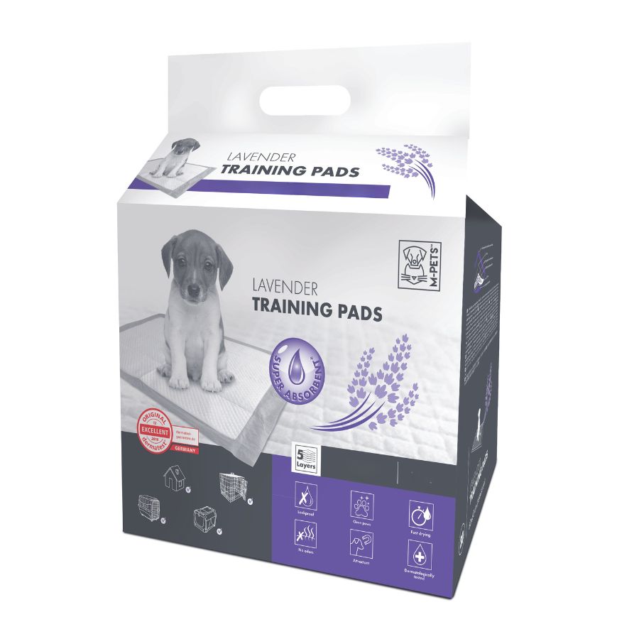 Pad entrenamiento para perros