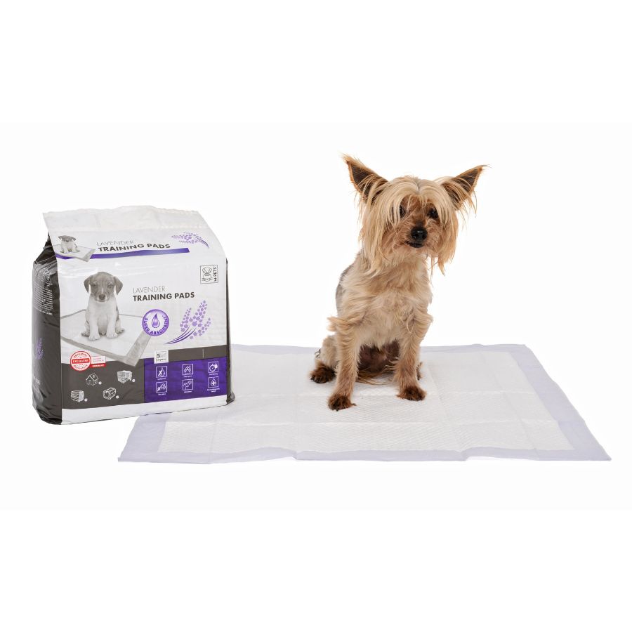 Pad entrenamiento para perros