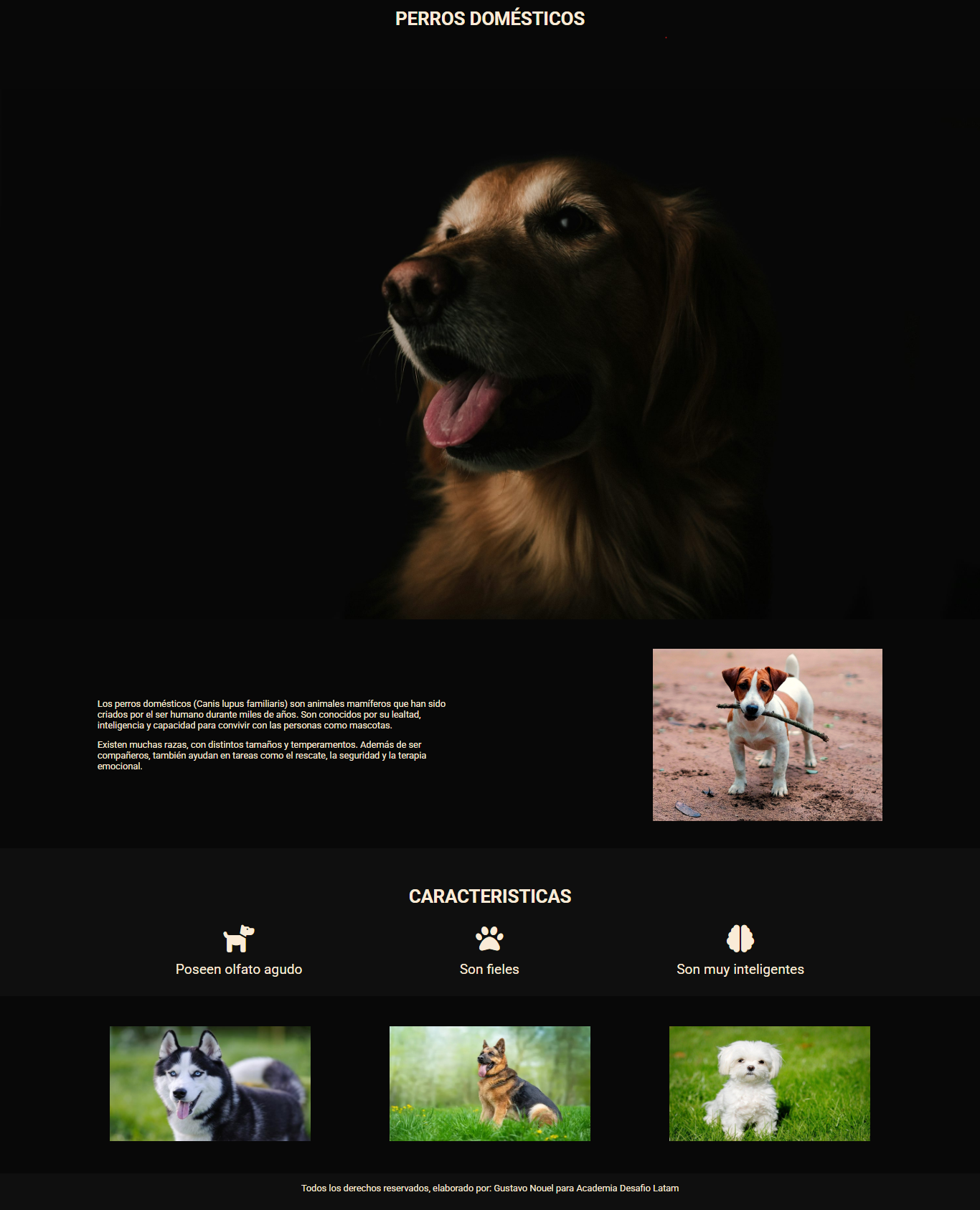 Moto Page